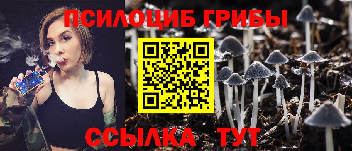 Псилоцибиновые грибы ЛСД Гай