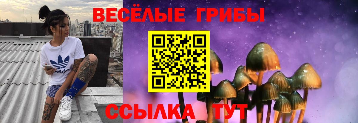 Гай  Псилоцибиновые грибы Psilocybe  купить закладку  Вход с VPN 